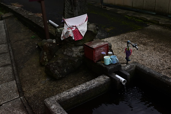 DSC_1001