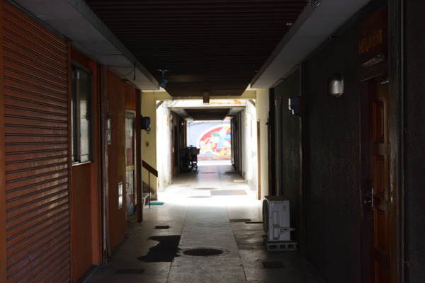 DSC_1798