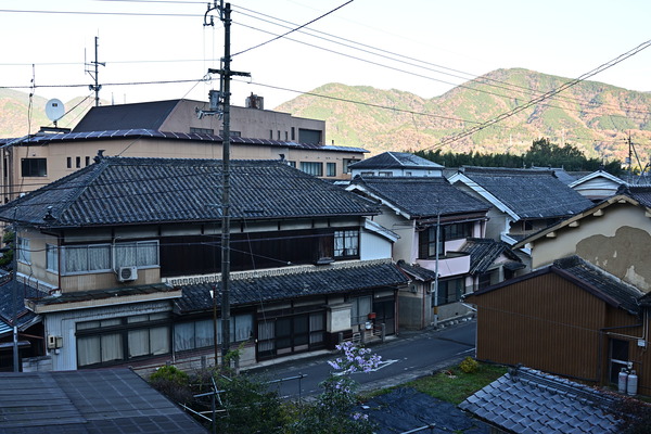 DSC_0598_01