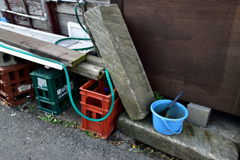 DSC_0039