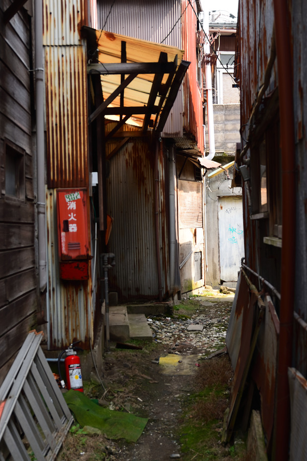 DSC_1819
