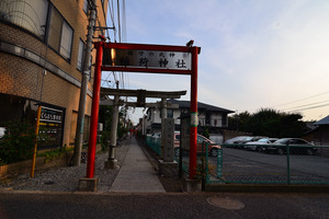 DSC_2106