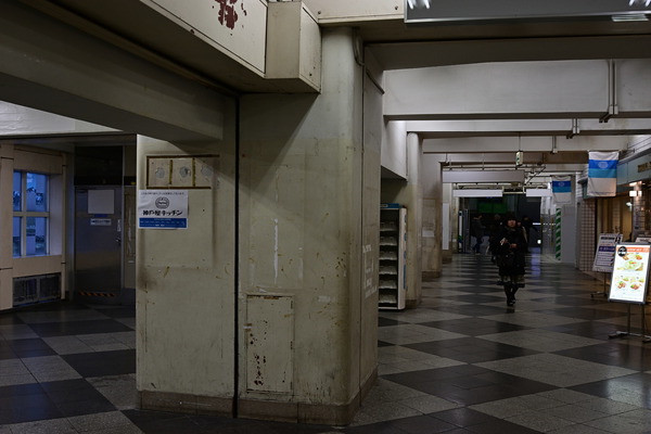 DSC_1010