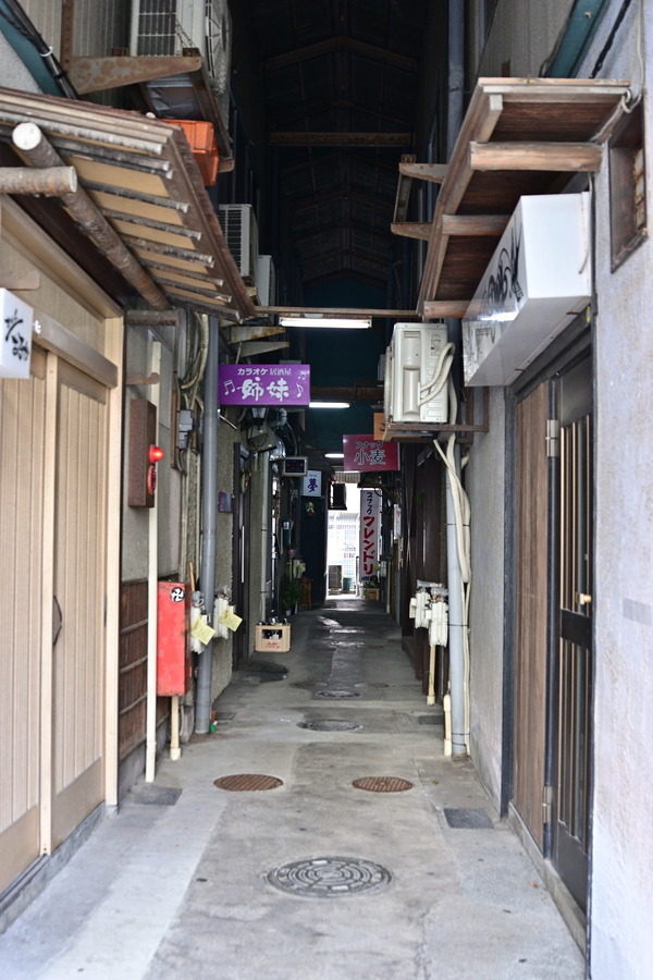 DSC_1160
