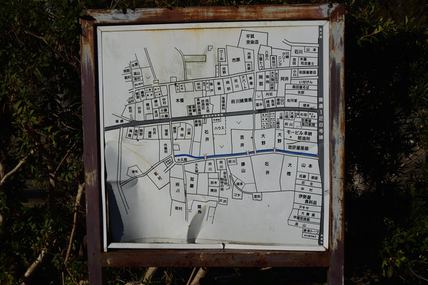 DSC_1315
