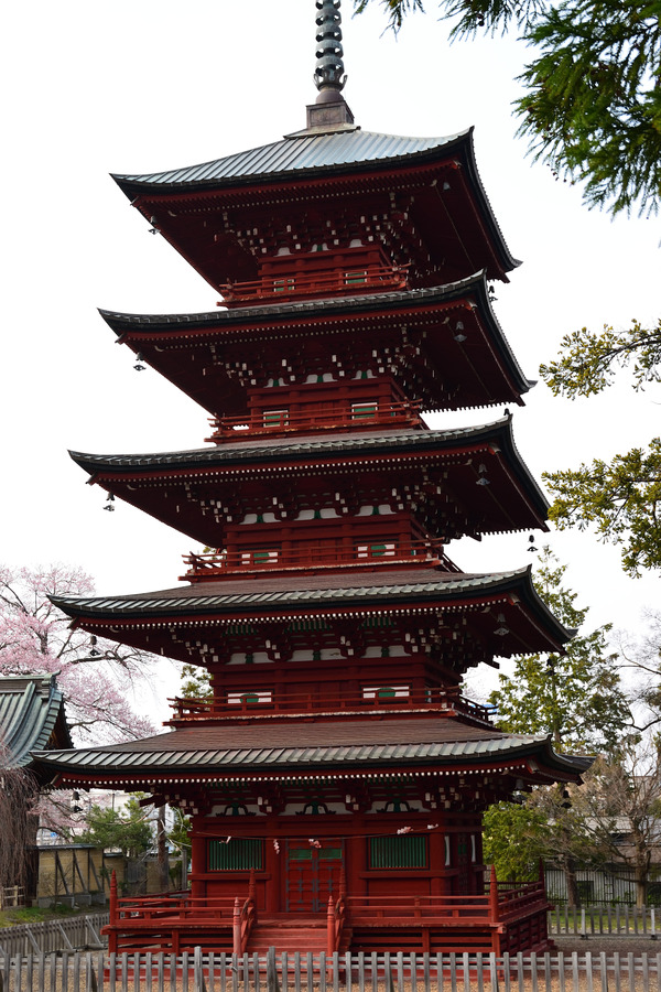 DSC_0568