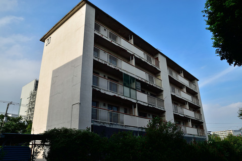 DSC_0846