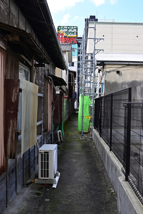 DSC_1211