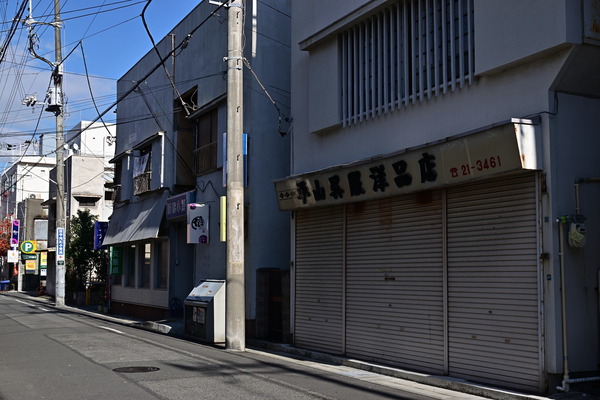 DSC_1101