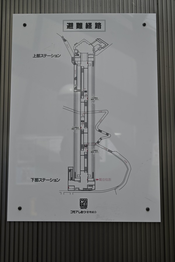 _DSC8475 - コピー - コピー