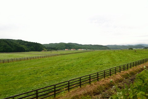 DSC_6060