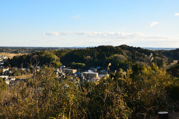 DSC_1344