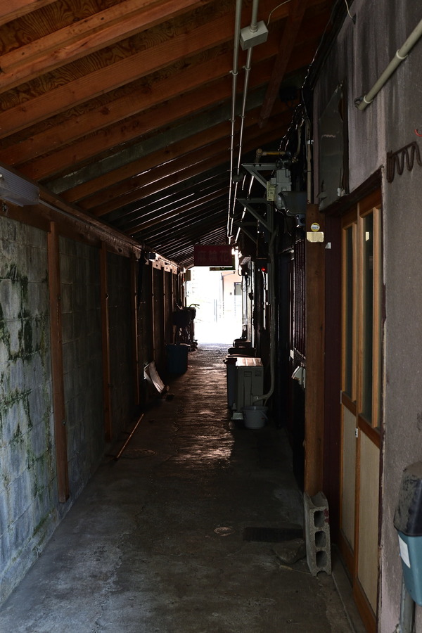 DSC_1136