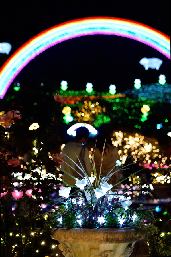 DSC_1591