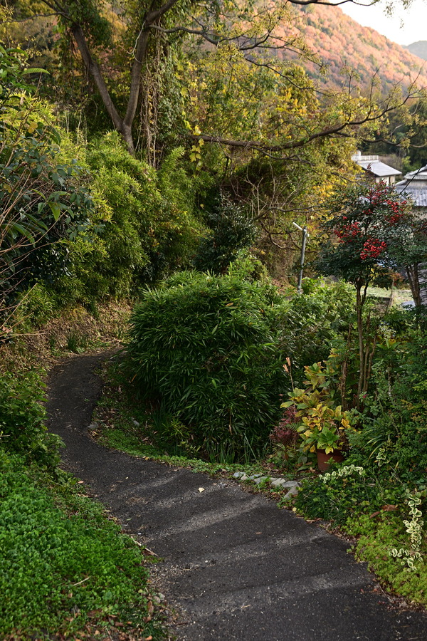 DSC_0506