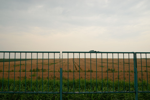 DSC_0119