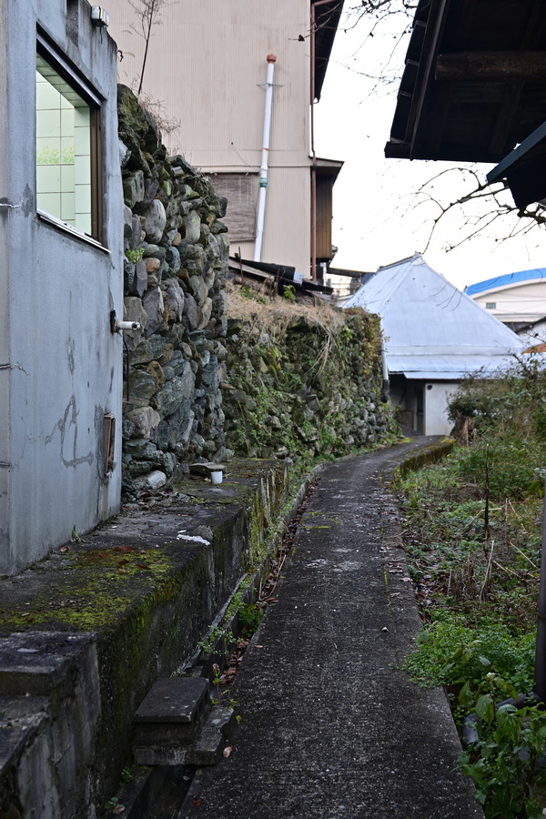 DSC_0535