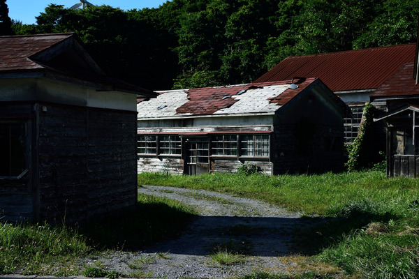 DSC_1139