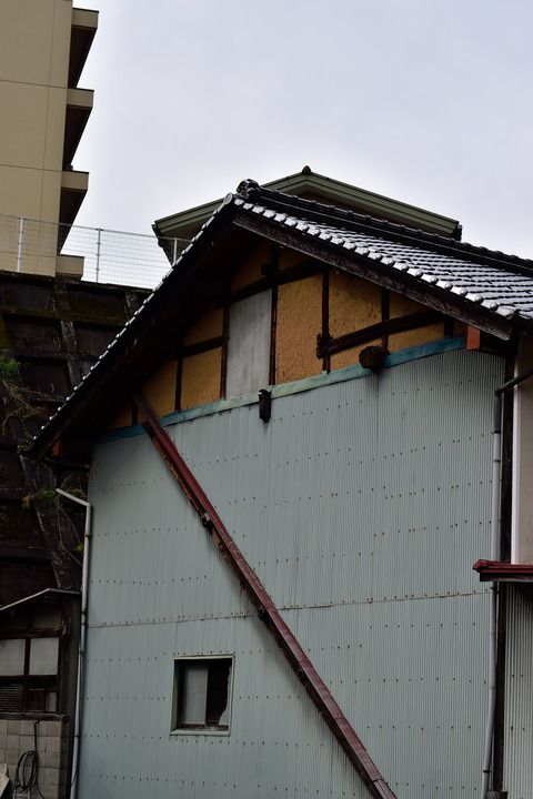 DSC_0665