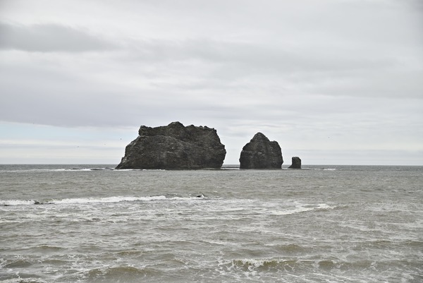 _DSC0712