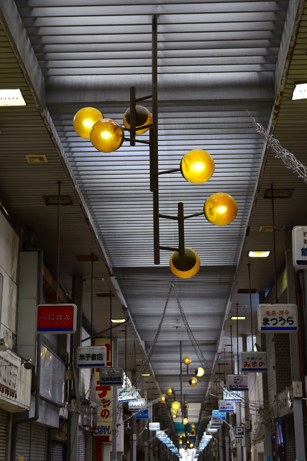 DSC_1892