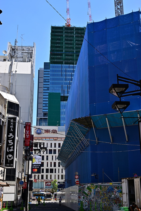 DSC_1181
