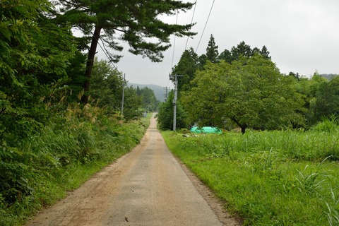 DSC_0040