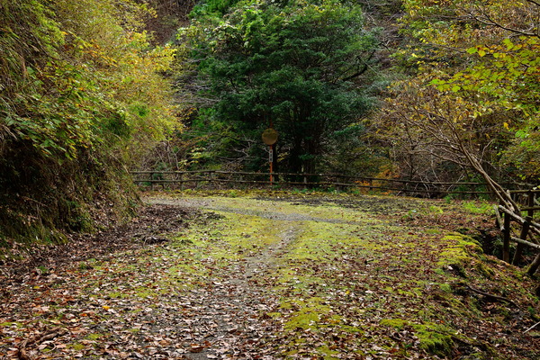 DSC_0756