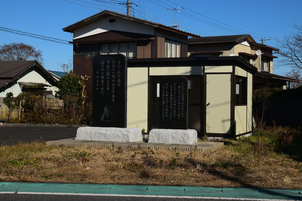 DSC_1190