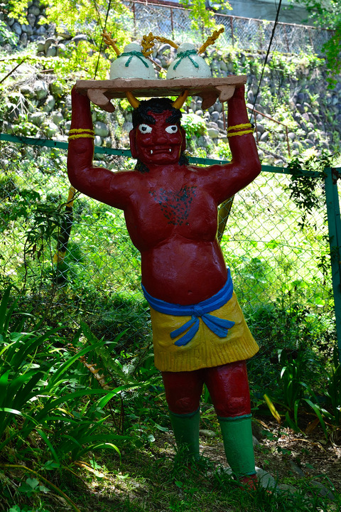 DSC_2909