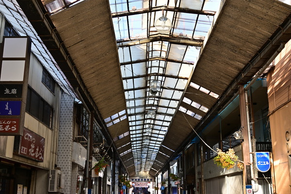 DSC_1297
