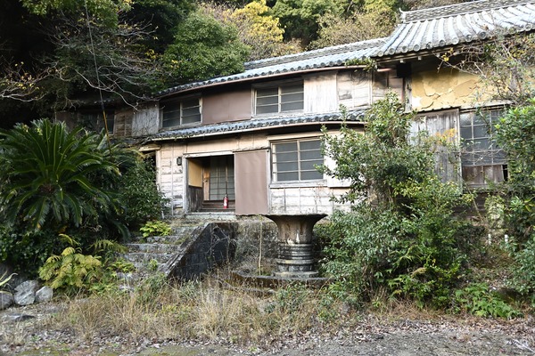 DSC_0086 - コピー