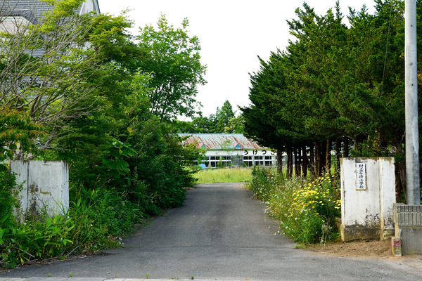 DSC_1201