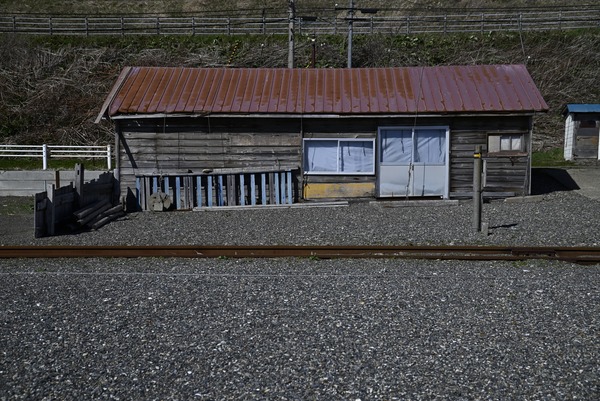_DSC0915