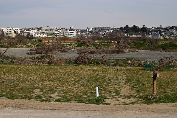 DSC_1607