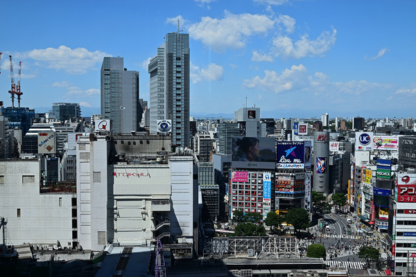 DSC_1112