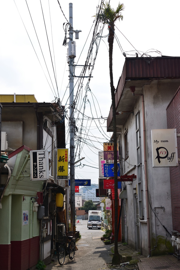DSC_1833