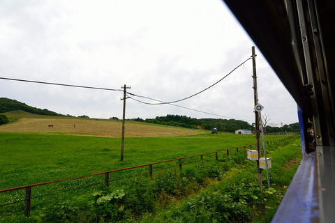 DSC_6096