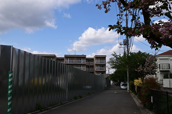 DSC_1344