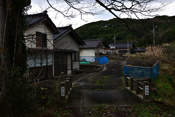 DSC_0995