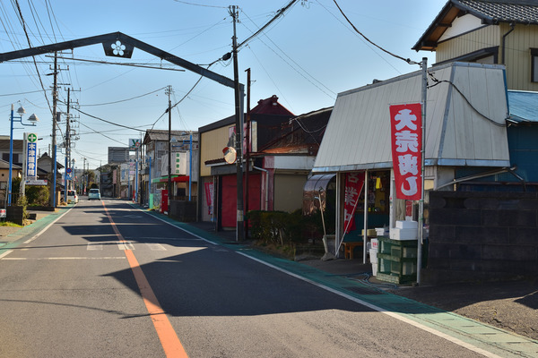 DSC_1201