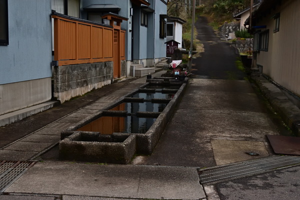 DSC_1003