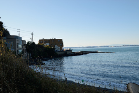 DSC_0646