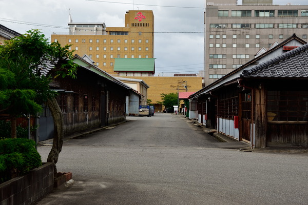 DSC_0390
