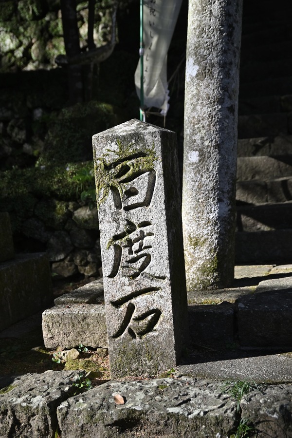 _DSC0055