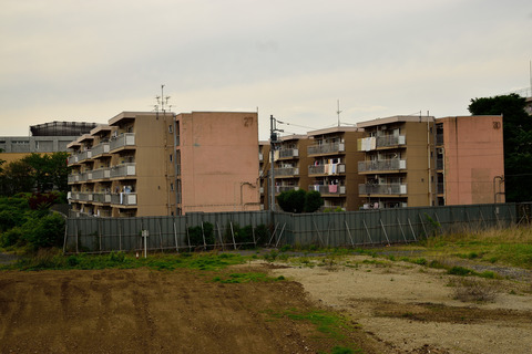 DSC_1004
