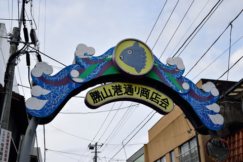 DSC_1310