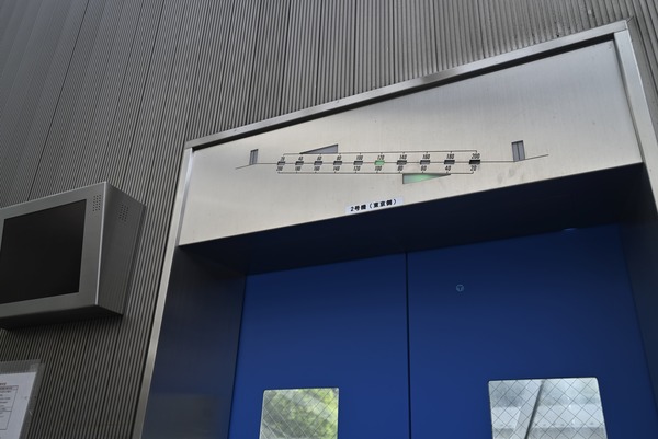 _DSC8474 - コピー - コピー