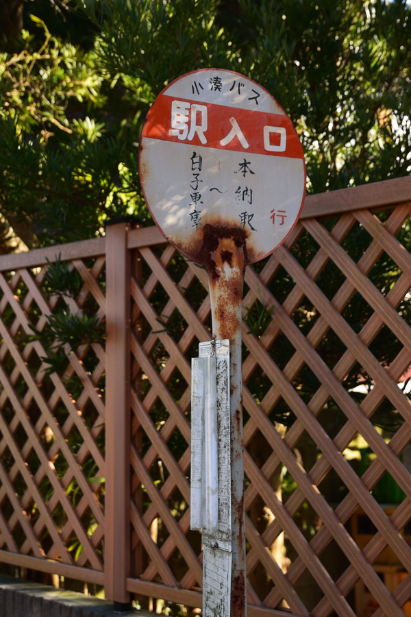 DSC_1295