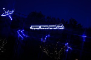 DSC_5018